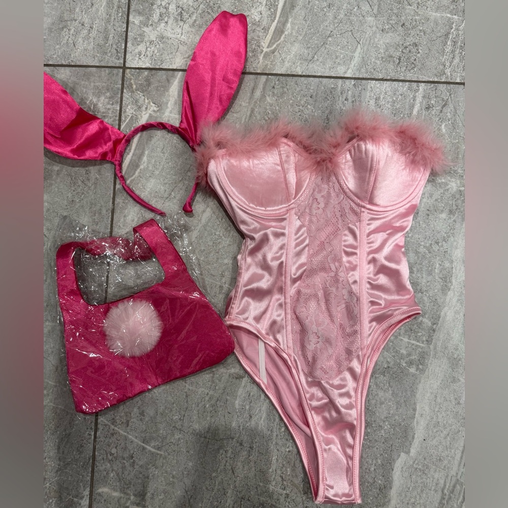 Fashion Nova Pink Sheer Lace Bodysuit with Feather Trim - Picture 2 of 3